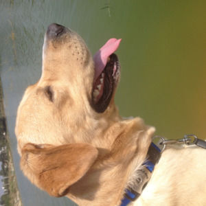 Meet your Posher, Samishti